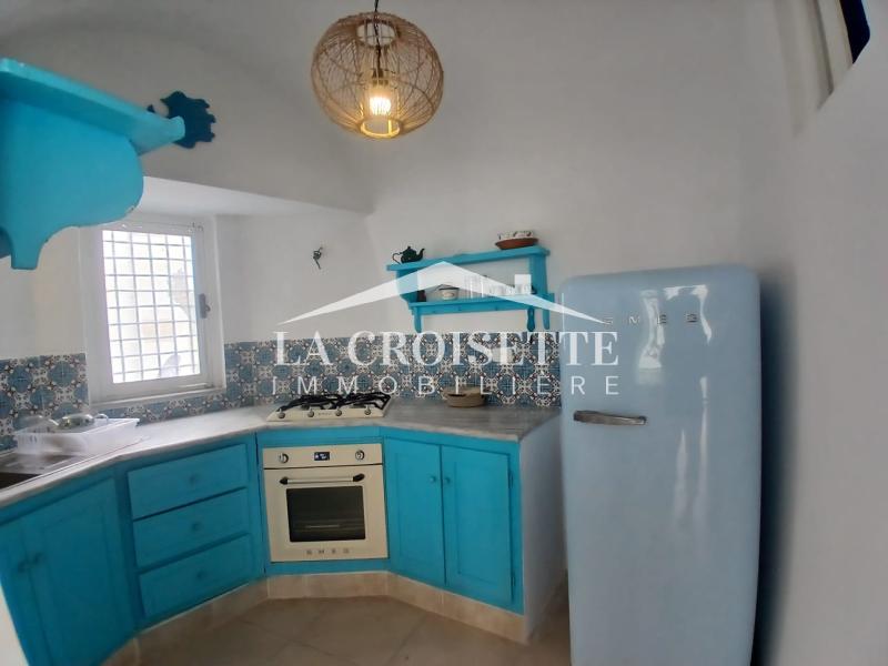 Appartement meublé S+1 avec terrasse à Sidi Bou Saïd